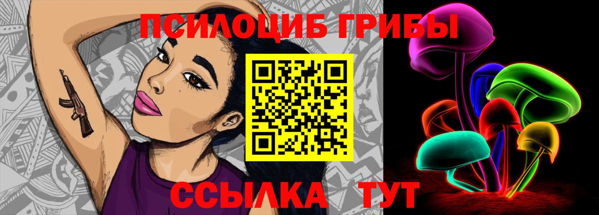 Кашира  Псилоцибиновые грибы Cubensis  где продают   Вход с VPN  Галлюциногенные грибы Cubensis 